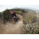 thumbnail image 2 of Antiparra Hack Blk Mirror Gold, 2 of 3
