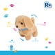 thumbnail image 5 of Peluche Perrito Interactivo Mascota con Sonido y Movimiento, 5 of 5