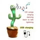 thumbnail image 2 of Cactus Bailarin Imita Voz, Musical, Bailarin Juguete Felpa, 2 of 4