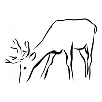 Rienda Libre Graphics - Decomural Stag Woodland Animals - Animals Ws-17540