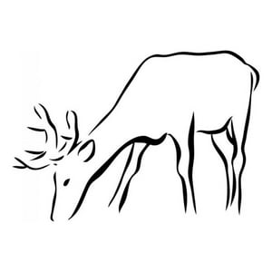 Rienda Libre Graphics - Decomural Stag Woodland Animals - Animals Ws-17540