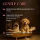 thumbnail image 4 of Shampoo Gentle Care Para Cachorros Y Gatitos 350 Ml, 4 of 9