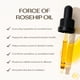 thumbnail image 2 of Aceite de rosa mosqueta Trilogy Intensive Nourishment, 20 ml x 2, 2 of 9