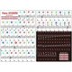 thumbnail image 3 of Stickers para Teclado de Piano COYAHO de 49 Teclas Multicolor, 3 of 3