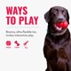 thumbnail image 5 of Juguete para perros KONG Reflex Flyer, 5 of 8