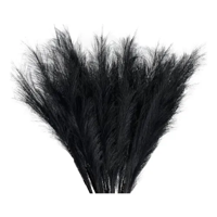 Genérico - Flor Pampa Artificial Vara 90 Cm