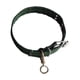 thumbnail image 3 of Collar De Perro Con Hebilla De Metal Resistente Para Pasear A Los Amantes De Los Perros, Regalos Para Correr L, 3 of 5