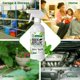 thumbnail image 5 of Spray repelente de roedores Mighty Mint, aceite de menta, 240 ml, 5 of 7