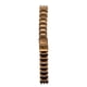thumbnail image 1 of Correa Reloj Swatch AYGG409G 17mm, 1 of 2