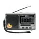 thumbnail image 1 of Radio Recargable 8 Bandas Mp3 Usb Aux Parlante, 1 of 4