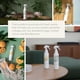 thumbnail image 3 of Ambientador en aerosol, fragancia para cultivo, 100% vegetal, 150 ml, paquete de 3, 3 of 8