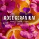 thumbnail image 3 of Set de regalo Panier des Sens Geranium Rose: crema de manos y eau de toilette, 3 of 7