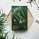 thumbnail image 2 of Mascarilla facial coreana con esencias naturales, centella asiática y árbol de té - DR. CEURACLE, 2 of 3