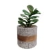 thumbnail image 1 of Macetero Planta Artificial Flores Maceta Decorativa 8x14cm, 1 of 1