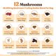 thumbnail image 4 of Café con hongos Venture Pal Focus 48000 mg con 12 champiñones, 4 of 8