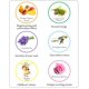 thumbnail image 5 of Set de bombas de baño Relaxcation orgánicas y veganas, 100 ml (6 x 100 g), 5 of 9