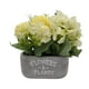 thumbnail image 1 of Planta Artificial Macetero De Cemento Flowers And Plants beige, 1 of 8