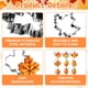 thumbnail image 3 of Juego de cortadores de galletas Jremreo, 9 piezas, hojas de otoño, acero inoxidable, 3 of 7