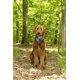 thumbnail image 4 of Bandana Dog Gone Smart Unbugz-It Pequeña Cuadrada Azul, 4 of 4