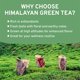 thumbnail image 5 of Hojas de té verde VAHDAM Himalaya 340 g al vacío, 5 of 9