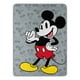 thumbnail image 1 of Manta Northwest Mickey Mouse Micro Raschel 46 x 60 cm, 1 of 3