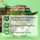 thumbnail image 4 of Paquete variado de juguetes para gatos Hartz Cattraction con vid plateada y hierba gatera, 4 of 9