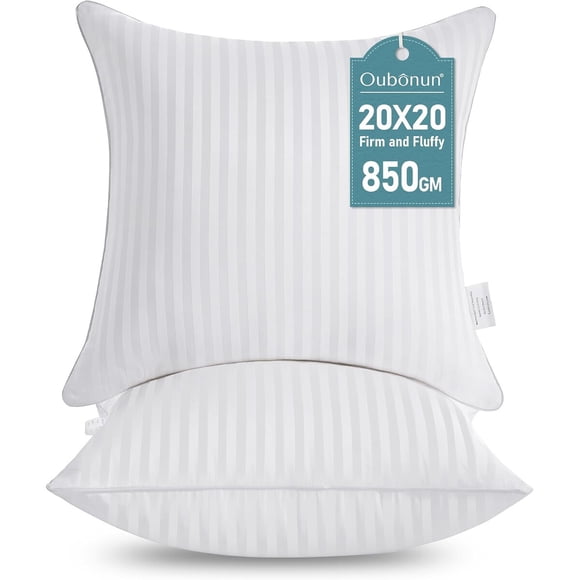 Oubonun 20 x 20 Throw Pillow Inserts Set of 2
