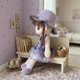 thumbnail image 3 of Peluche De Muñeca De Trapo Tierno Suave Y Divertido violeta, 3 of 4