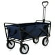 thumbnail image 1 of Carro de arrastre Wagon Metalico Azul, 1 of 3