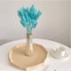 thumbnail image 5 of 50 flores secas de hierba de la pampa que nunca se marchitan, decoración natural, flores bohemias, decoración de cumpleaños, boda, decoración del hogar (azul Tiffany claro), 5 of 5