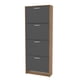 thumbnail image 1 of Zapatero Nick 4 Puertas Gris, 1 of 5