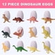 thumbnail image 5 of Kit de excavación de huevos de dinosaurio DIDUBUY, paquete de 12 para niños de 4 a 12 años, 5 of 7