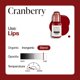 thumbnail image 5 of Set de Tintas Labiales Perma Blend Luxe Berry 2×15 ml Vegano, 5 of 9