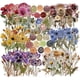 thumbnail image 1 of Stickers florales Slapaflife, 450 piezas, de 2,6 a 2,8 pulgadas, 1 of 3