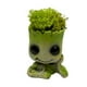 thumbnail image 1 of Groot con musgo natural preservado, 1 of 2