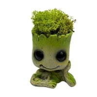 Eco Deco - Groot Con Musgo Natural Preservado
