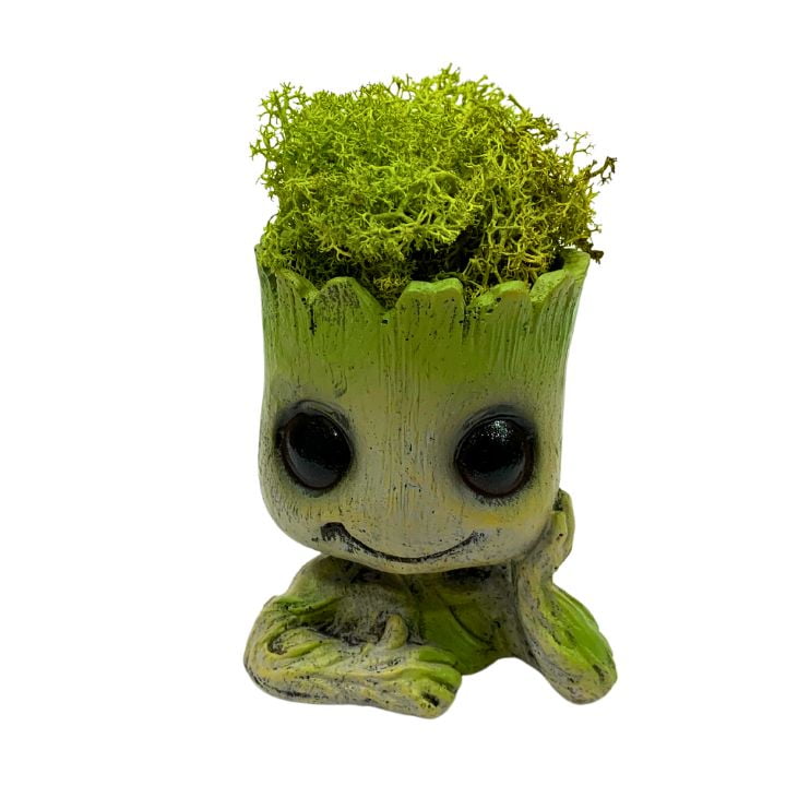 Eco Deco - Groot Con Musgo Natural Preservado
