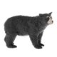 thumbnail image 5 of Simulación Animal Modelo Ni?os Juguetes Educativos Oso L127 721, 5 of 5