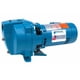 thumbnail image 1 of Bomba de chorro para pozos poco profundos Goulds J5S 1/2 hp 115/230 V, 1 of 4