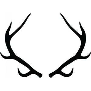Rienda Libre Graphics - Decomural Stag Antlers Deer Animals Ws-35647