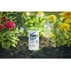 thumbnail image 2 of Gel eliminador de malezas y pasto Roundup Precision Gel 150 ml, 2 of 7