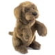 thumbnail image 1 of Títere de mano perro sentado marrón de peluche Folkmanis, 1 of 3