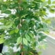 thumbnail image 5 of Planta Artificial Decorativa Arbol Grande Ficus 160cm 1008h, 5 of 9