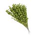 thumbnail image 1 of Falsa Baya Tallos Decoración Simulación Flor Plantas Guirnalda Fiesta Verde, 1 of 5