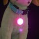thumbnail image 5 of Collar con clip resistente al agua para perros y gatos, luces LED, luz de collar, dijes para collar, 6 piezas, collar LED mejorado de 6 colores, seguridad nocturna para caminar, collar iluminado para, 5 of 7