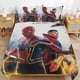 thumbnail image 2 of Spider-Man No Way Home 3 Piece Sets Full/Queen Size - Reversible Microfiber Quilts with 2 Shams Soft Lightweight Bedspread Coverlet Comforter for All Season Bed Sheets, 2 of 5