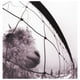 thumbnail image 1 of Pearl Jam - Vs | Vinilo, 1 of 4