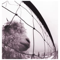 Hitway Music - Pearl Jam - Vs | Vinilo