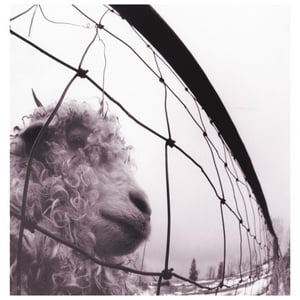 Hitway Music - Pearl Jam - Vs | Vinilo