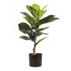 thumbnail image 1 of Planta Artificial Ficus 15 Hojas 60 cm, 1 of 1